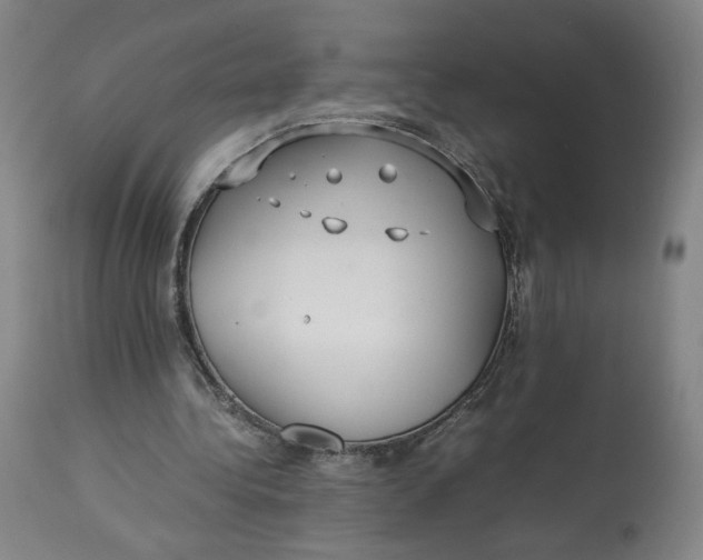 X0000113010340200909171435