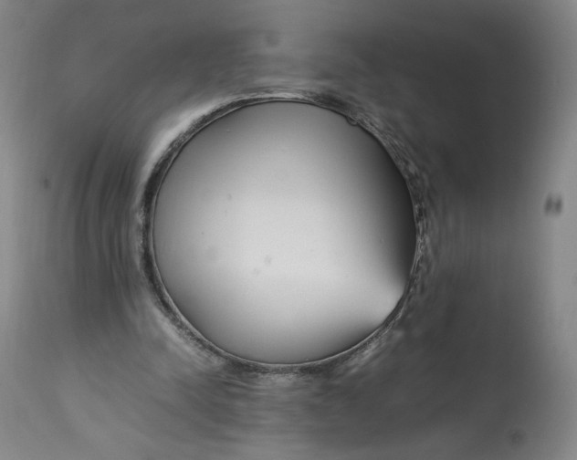 X0000113010342200909171435