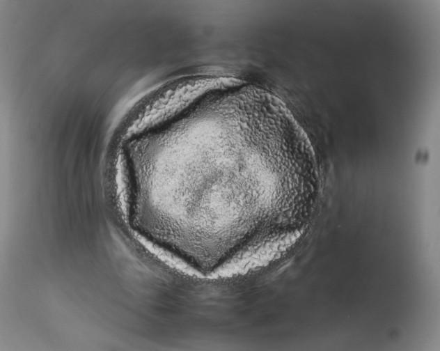 X0000113010343200909171435