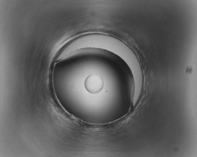 X0000113010344200909171435