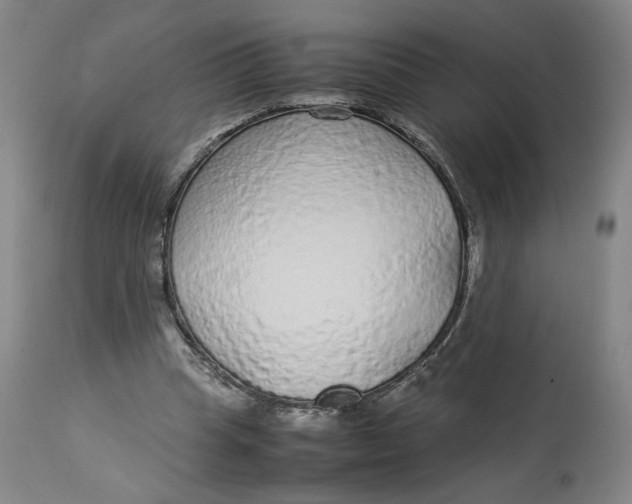 X0000113010345200909171435