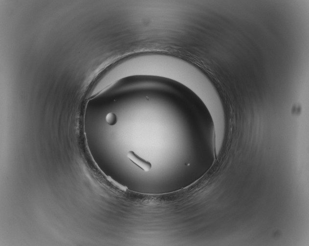 X0000113010348200909171435