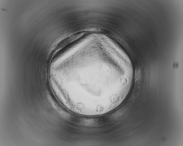 X0000113010349200909171435