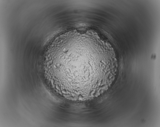 X0000113010353200909171435