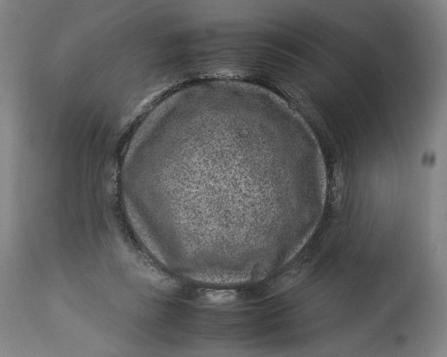 X0000113010355200909171435