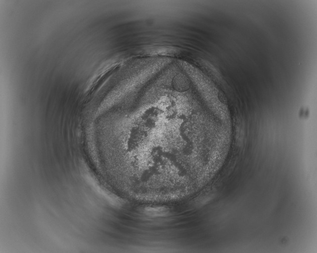 X0000113010357200909171435