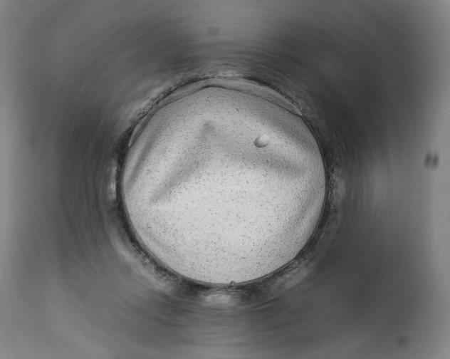 X0000113010358200909171435