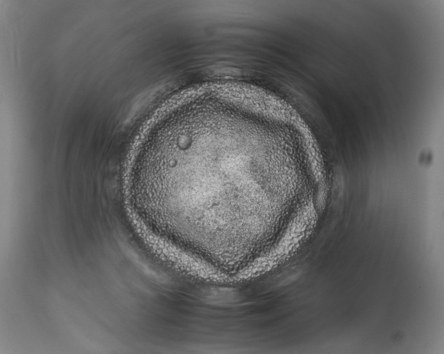 X0000113010361200909171435