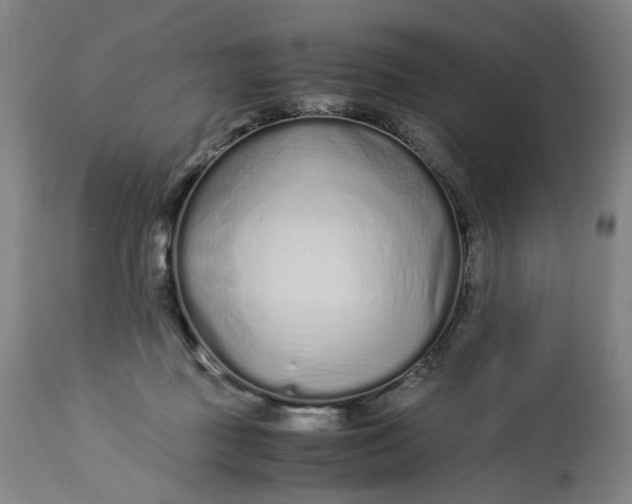 X0000113010363200909171435