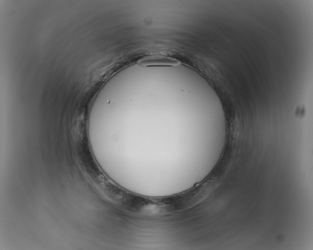 X0000113010364200909171435