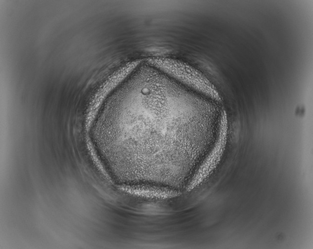 X0000113010365200909171435