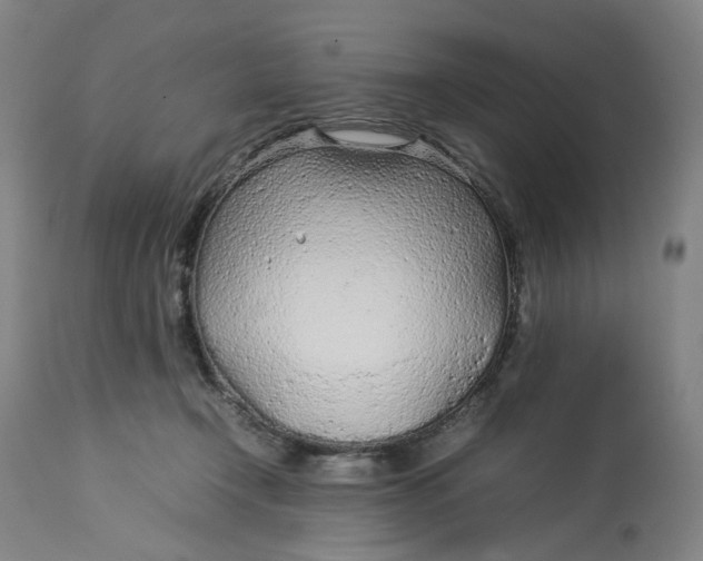 X0000113010366200909171435