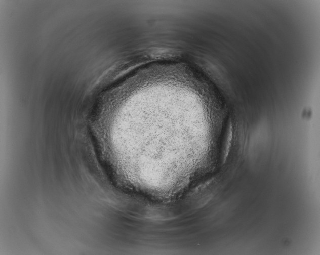 X0000113010367200909171435