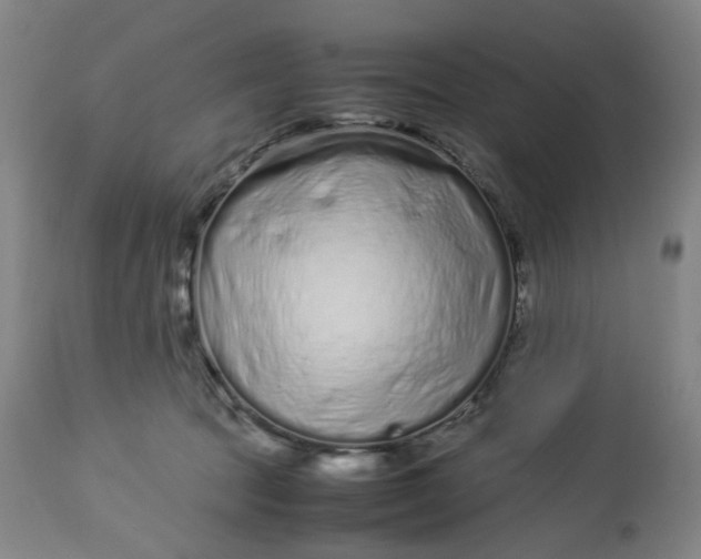 X0000113010369200909171435