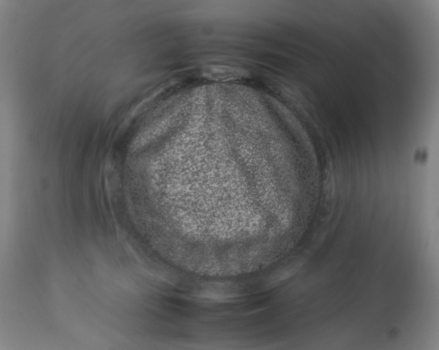 X0000113010371200909171435