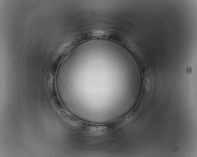 X0000113010375200909171435