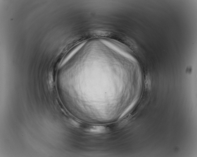 X0000113010377200909171435