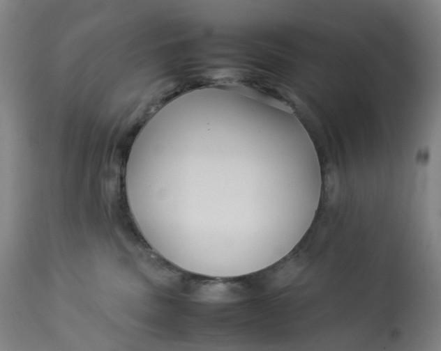 X0000113010379200909171435