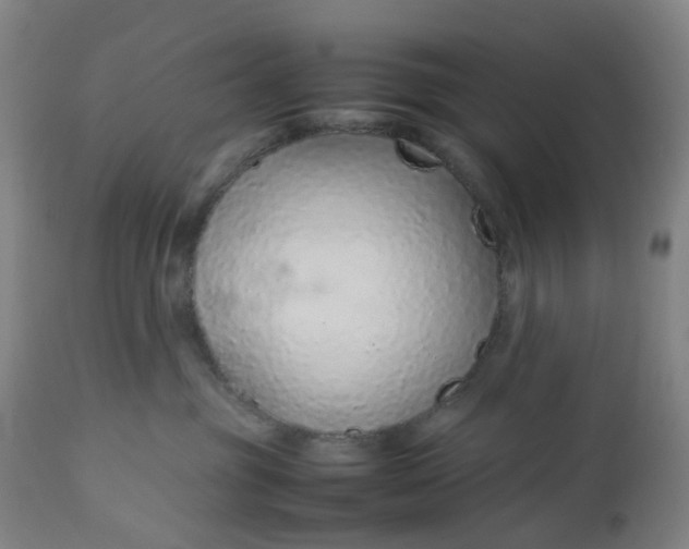 X0000113010381200909171435