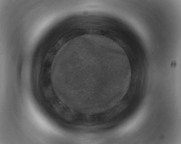 X0000113010383200909171435