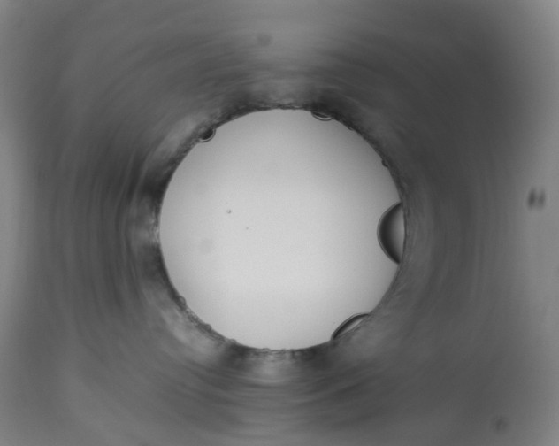 X0000113010384200909171435