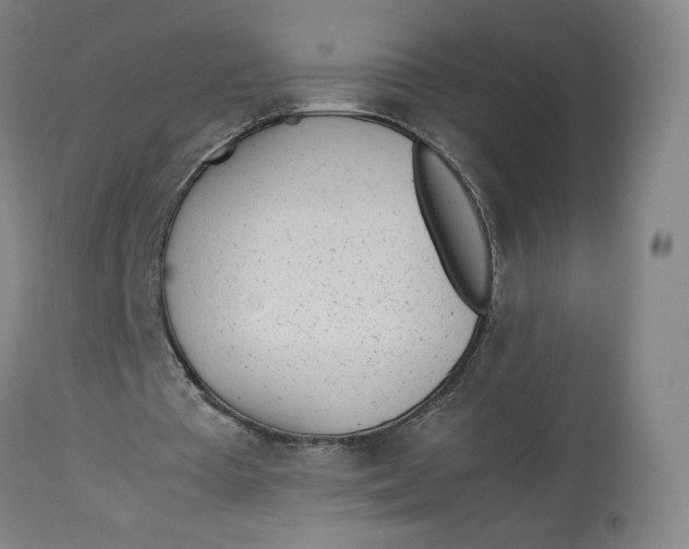 X0000113010385200909171435