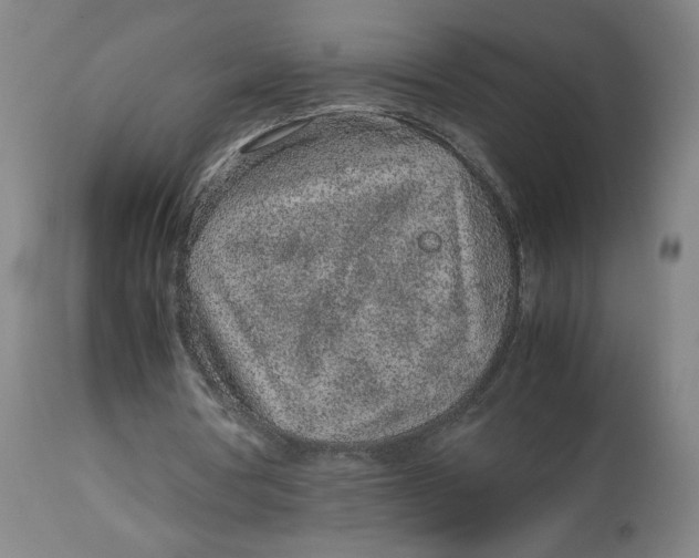 X0000113010386200909171435