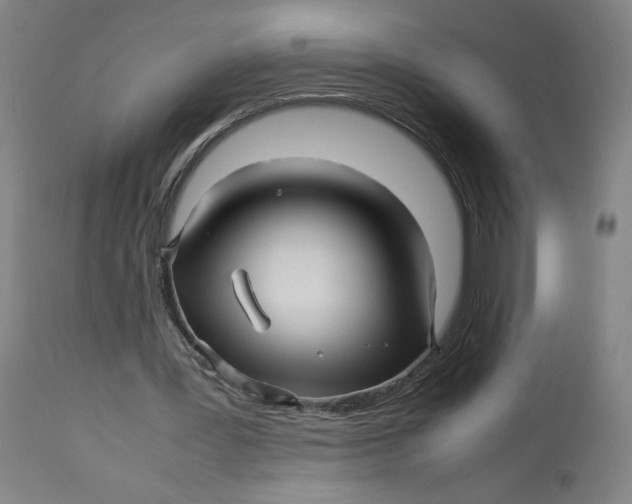 X0000113010387200909171435