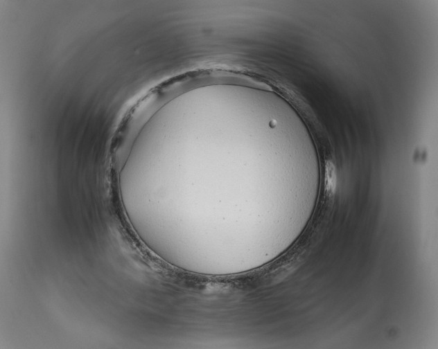 X0000113010388200909171435