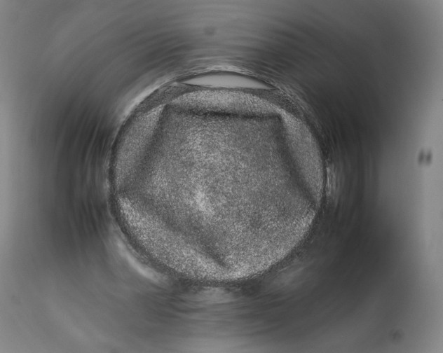 X0000113010390200909171435