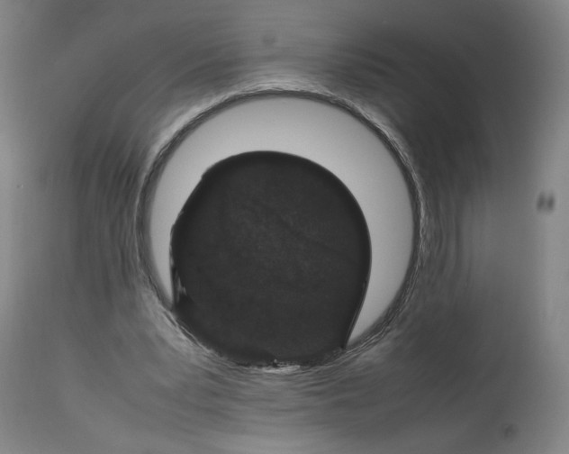 X0000113010391200909171435