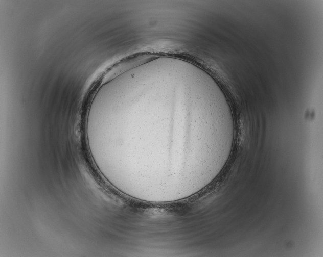 X0000113010392200909171434