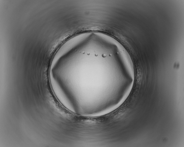 X0000113010394200909171434