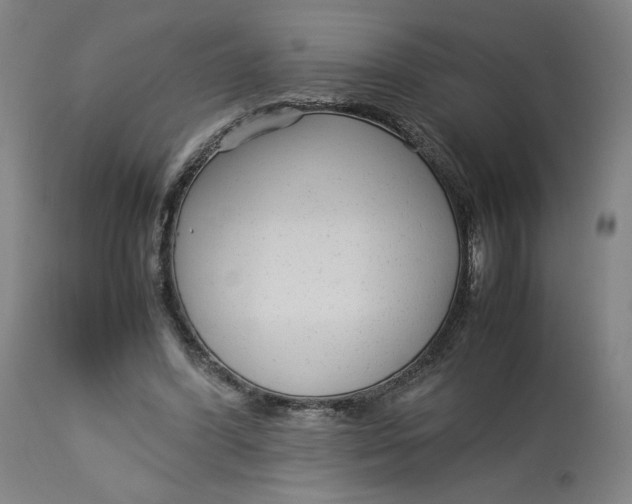 X0000113010396200909171434