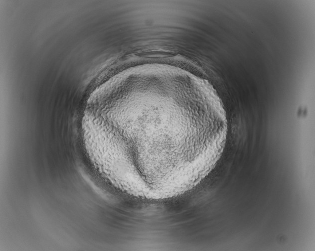 X0000113010398200909171434