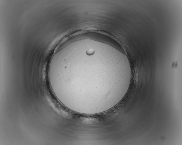 X0000113010400200909171434