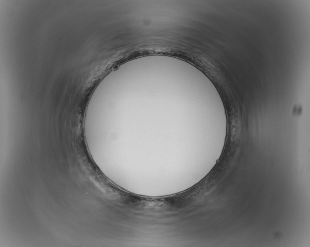 X0000113010401200909171434