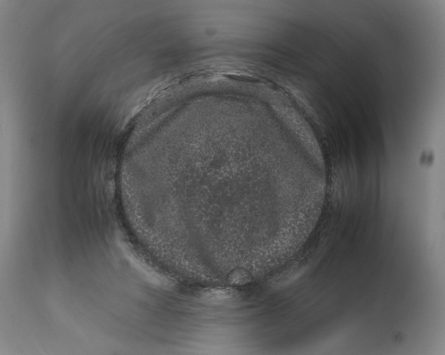 X0000113010402200909171434