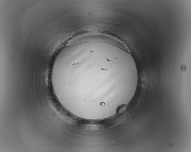 X0000113010404200909171434