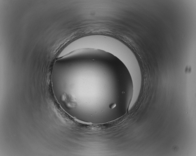 X0000113010405200909171434