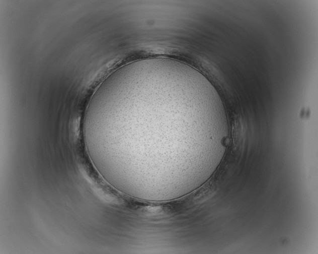 X0000113010406200909171434