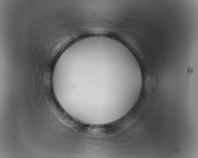 X0000113010407200909171434