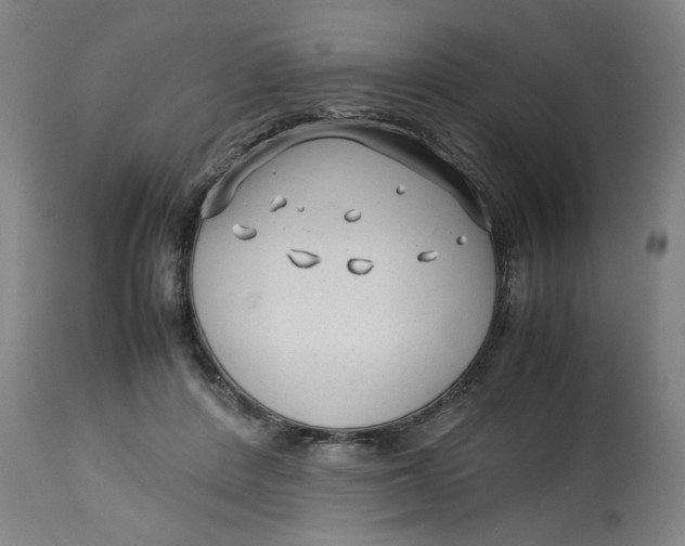 X0000113010408200909171434