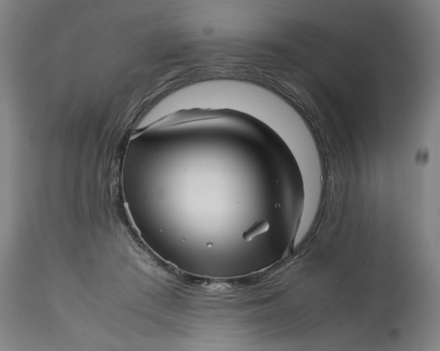 X0000113010409200909171434