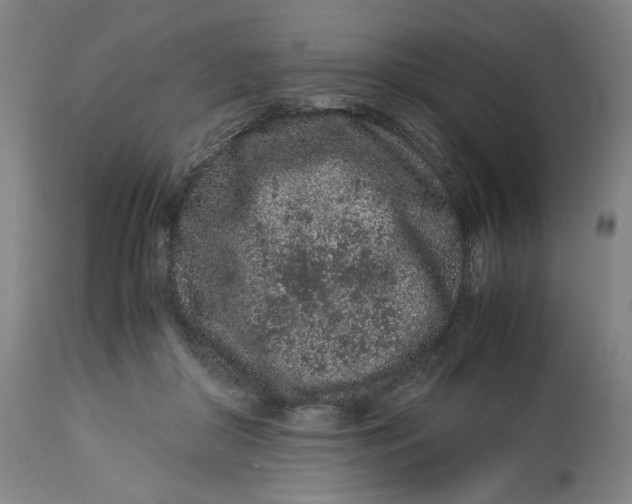 X0000113010410200909171434