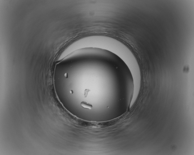 X0000113010411200909171434