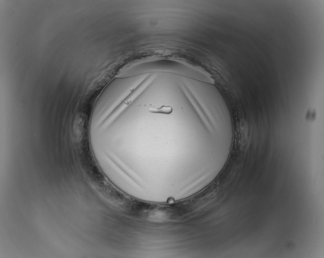 X0000113010412200909171434