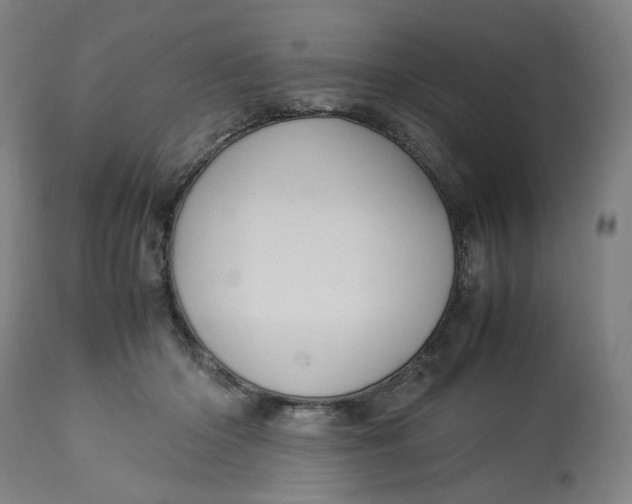 X0000113010414200909171434