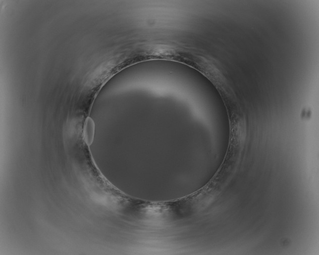 X0000113010415200909171434