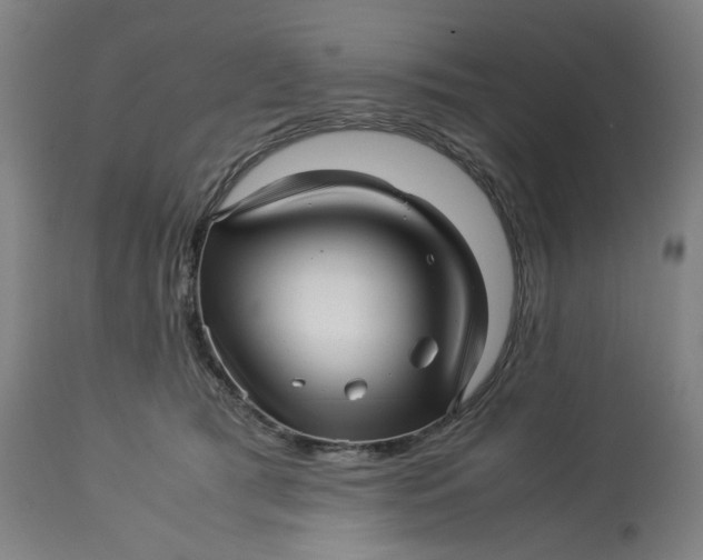 X0000113010417200909171434